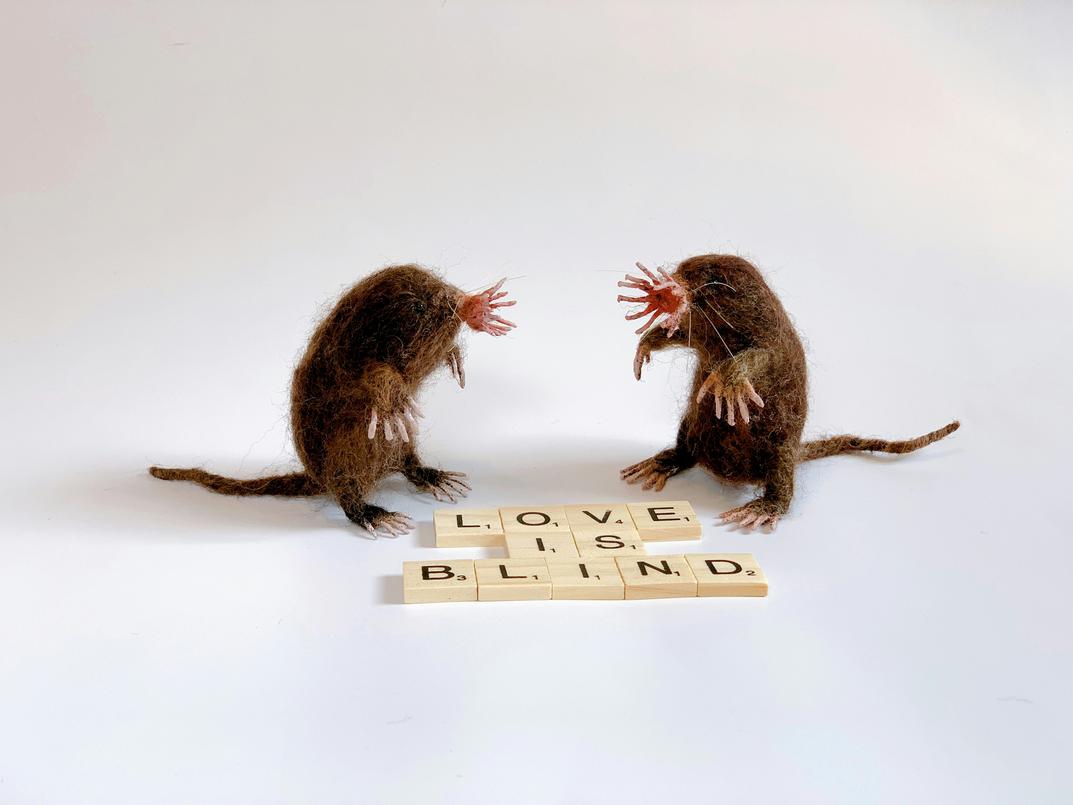 mouse selection
