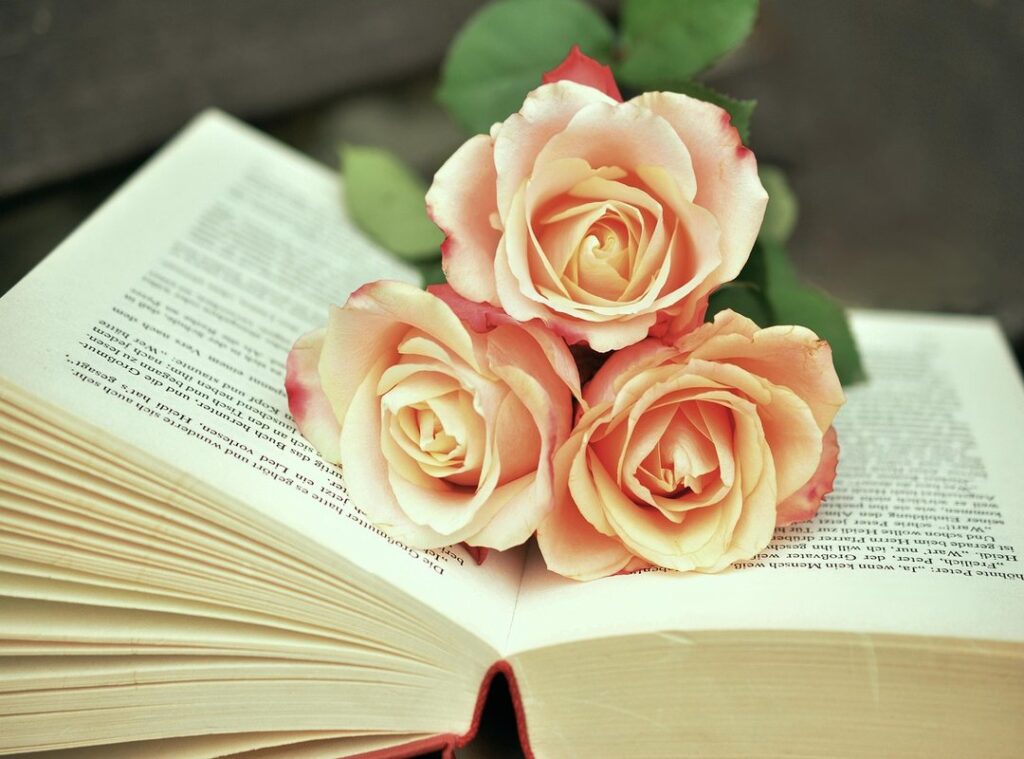 books body baju